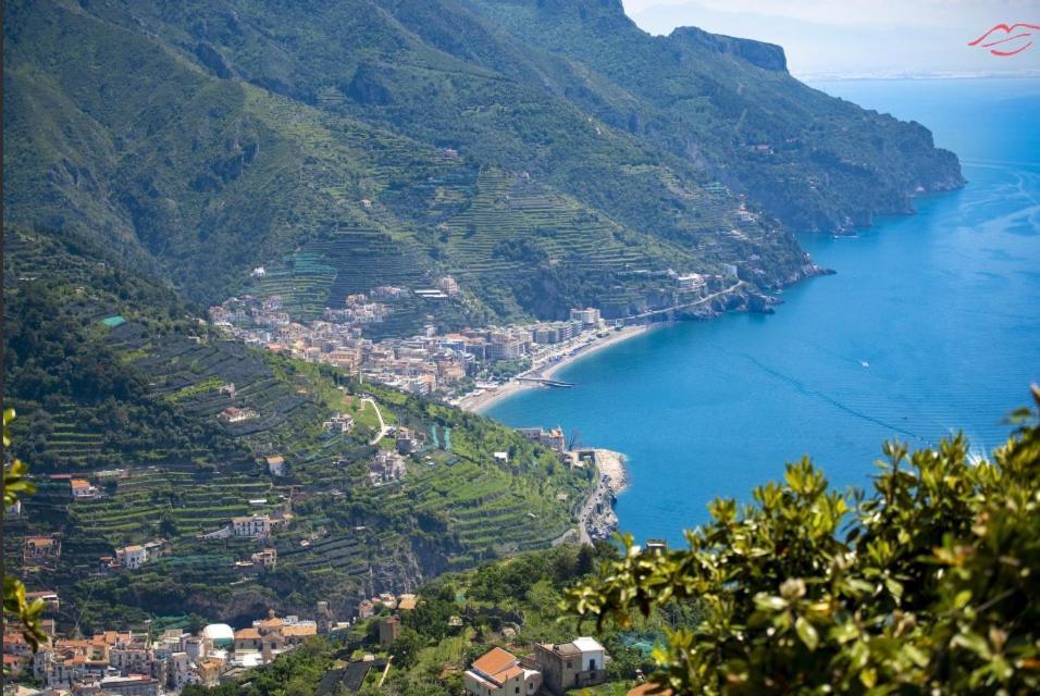 Ravello Vingius Suite Εξωτερικό φωτογραφία